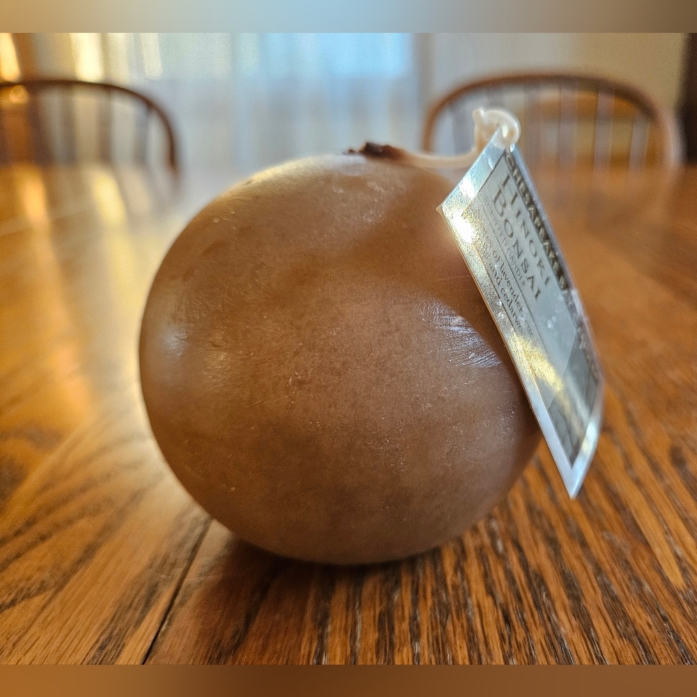 Chesapeake Bay Candle Hinoki Bonsai 10 Ounces Brown Ball